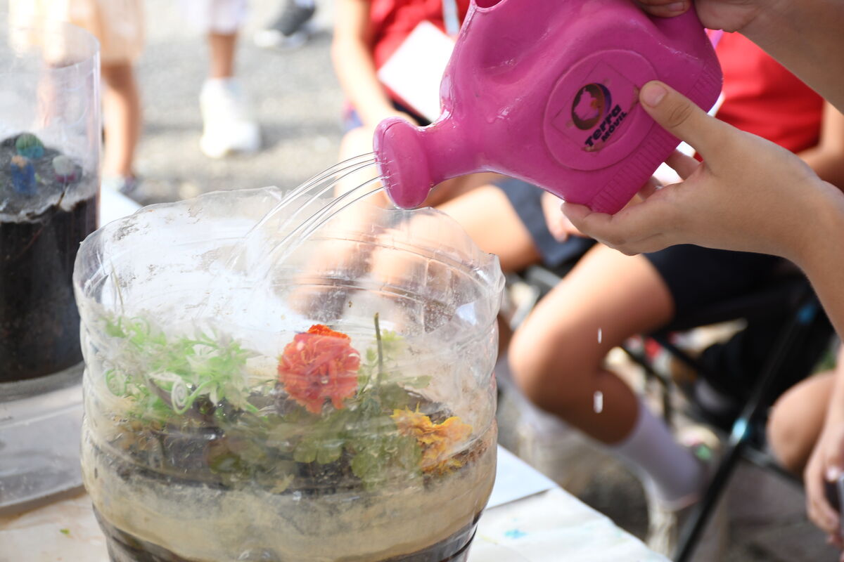 Un terrario en el taller de ecosistemas